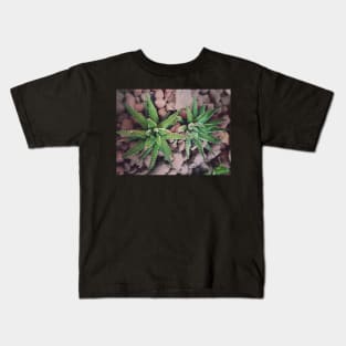 Aloe Vera Kids T-Shirt